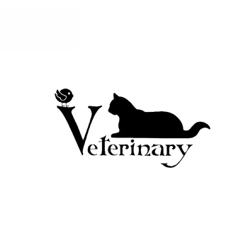 Наклейка для ветеринарных животных Наклейка для домашних животных Кошка Виниловая наклейка для автомобиля Черный Серебристый 14,3 СМ * 7,4 СМ
