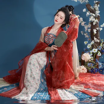 Чжун Линцзи Китайское традиционное платье Hanfu Шифоновое платье Фартук Костюм Сексуальная одежда Hanfu Женская ночная рубашка Одежда Han Красный